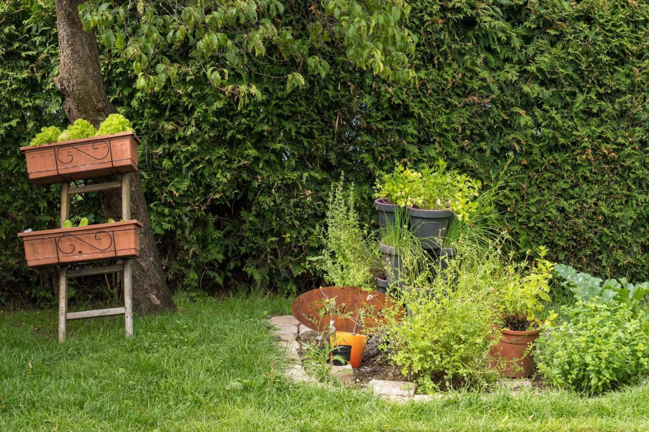 Ferienwohnung Zobl Fussen Exterior foto