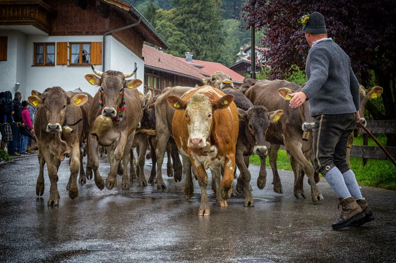 Ferienwohnung Zobl Fussen Exterior foto